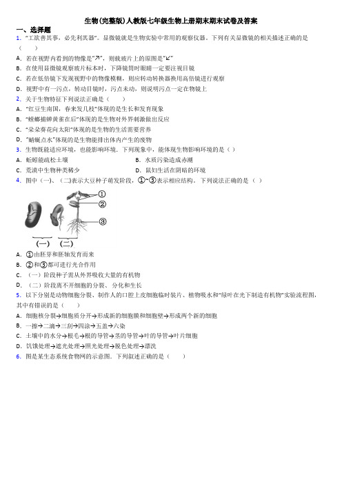 生物(完整版)人教版七年级生物上册期末期末试卷及答案