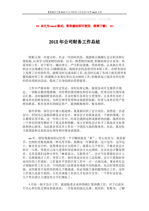 【精编范文】201X年公司财务工作总结-实用word文档 (2页)