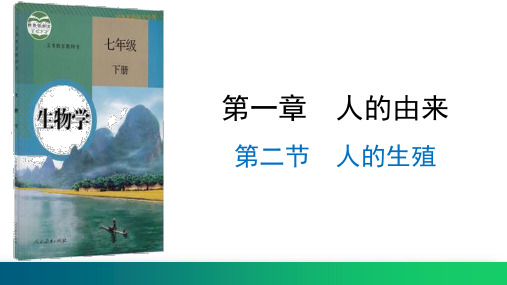 《人的生殖》PPT课件 人教版生物学七年级下册