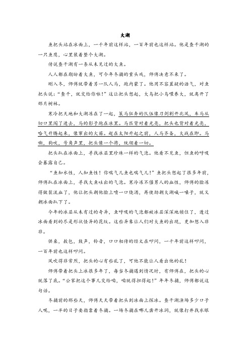 2023年高考语文复习文学类文本阅读理解：大湖