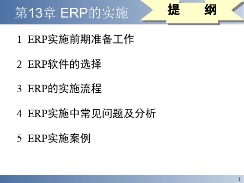 ERP的实施PPT课件