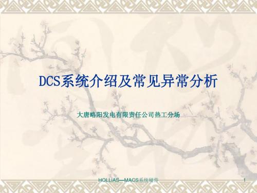 DCS系统介绍及常见异常分析