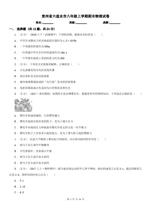 贵州省六盘水市八年级上学期期末物理试卷