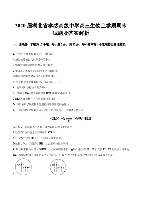 2020届湖北省孝感高级中学高三生物上学期期末试题及答案解析