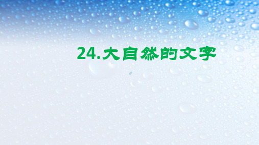 语文第25课大自然的文字ppt课件苏教版六年级上