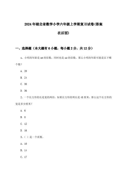 湖北省数学小学六年级上学期试卷与参考答案(2024年)