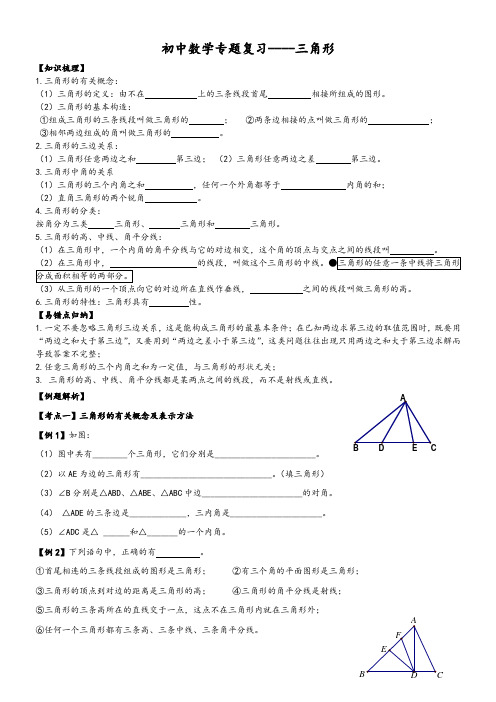 初中数学专题复习----三角形