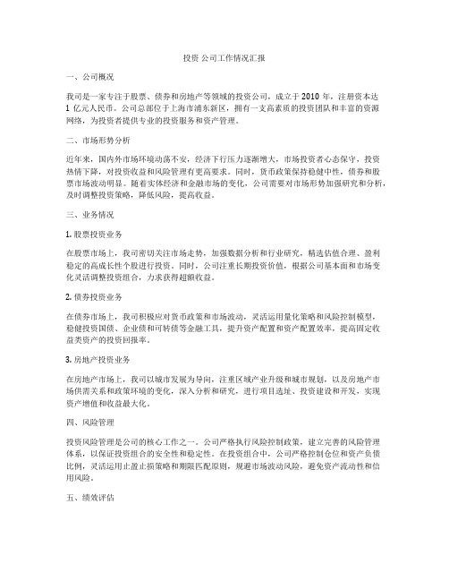 投资 公司工作情况汇报