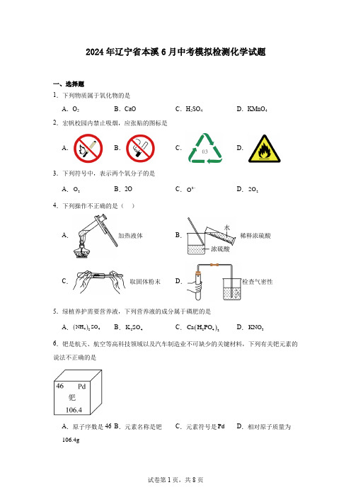 2024年辽宁省本溪6月中考模拟检测化学试题