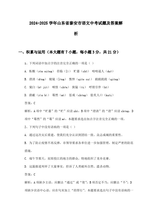 山东省泰安市语文中考2024-2025学年试题及答案解析