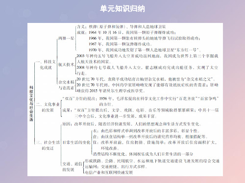 春八年级历史下册第六单元科技文化与社会生活复习导学课件新人教版