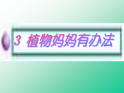 部编版二年级语文上册精品课件 植物妈妈有办法1