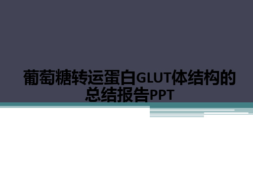 葡萄糖转运蛋白GLUT体结构的总结报告ppt课件