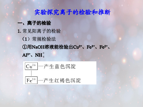 离子的检验和推断PPT教学课件