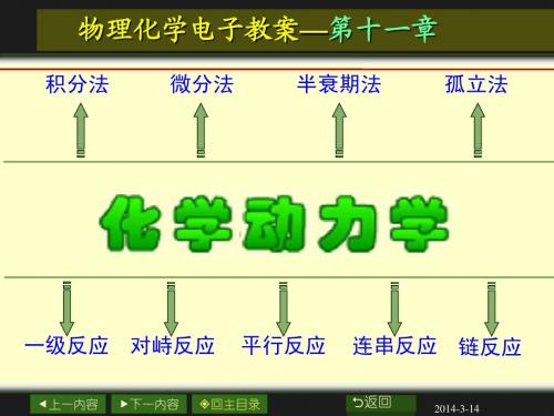 第十一章 化学反应动力学-酶催化