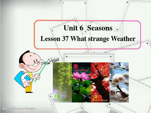 冀教版七年级下册lesson__31_what_strange__weather课件