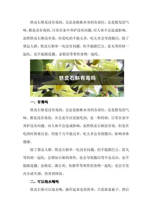 铁皮石斛有毒吗,铁皮石斛可以泡水喝吗