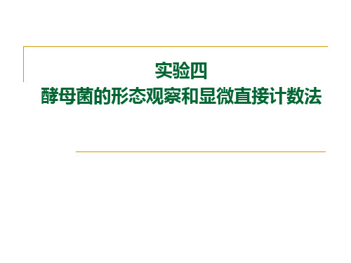 04 酵母菌的形态观察和显微直接计数法