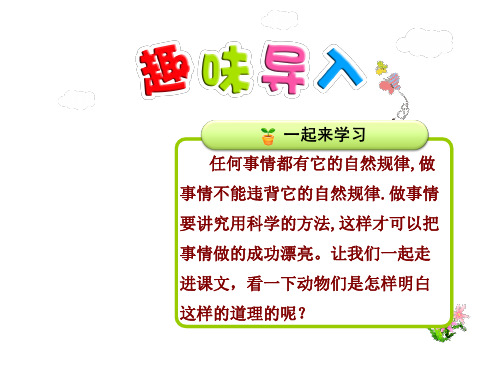 企鹅寄冰PPT课件最新冀教版2上