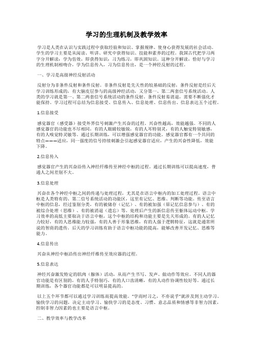 学习的生理机制及教学效率