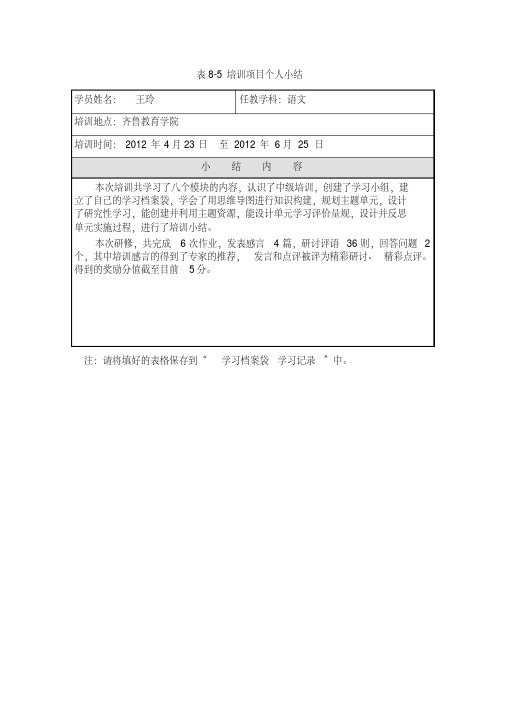 培训项目个人小结表