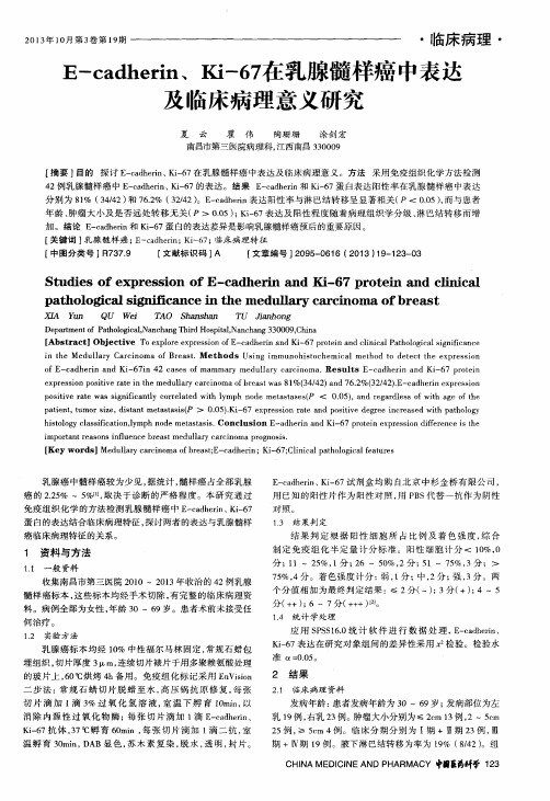 E—cadherin、Ki-67在乳腺髓样癌中表达及临床病理意义研究