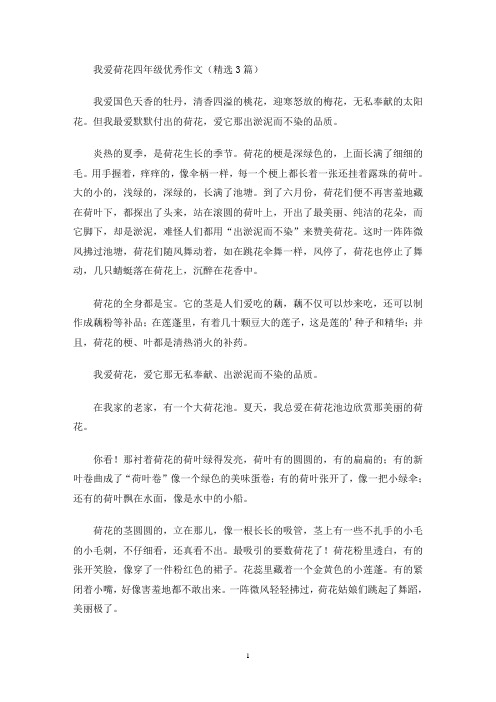 我爱荷花四年级优秀作文(最新)