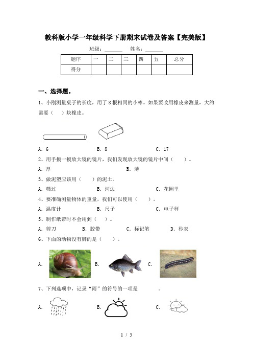 教科版小学一年级科学下册期末试卷及答案【完美版】