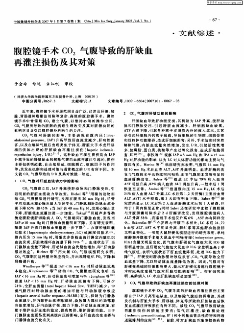 腹腔镜手术CO2气腹导致的肝缺血再灌注损伤及其对策