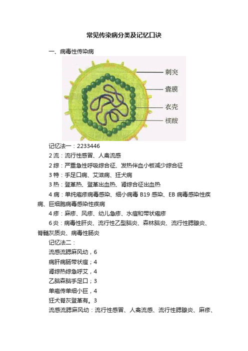 常见传染病分类及记忆口诀