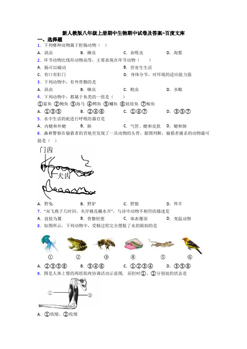 新人教版八年级上册期中生物期中试卷及答案-百度文库