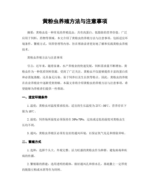 黄粉虫养殖方法与注意事项