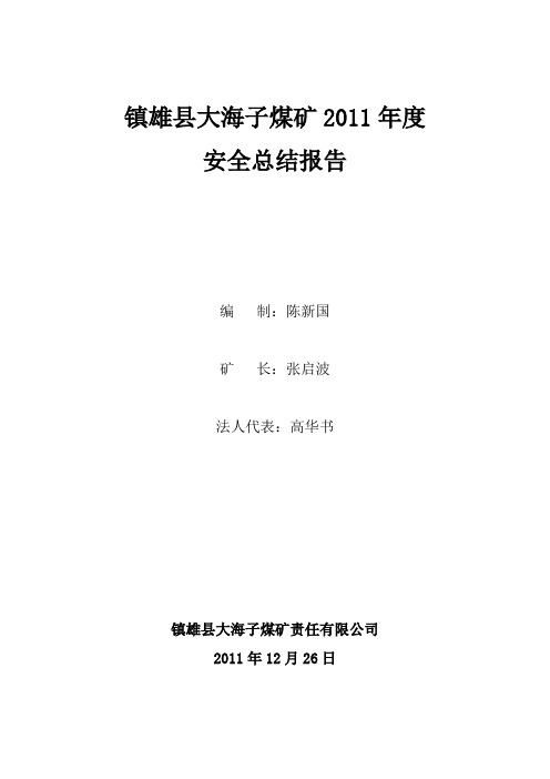 2011年安全生产总结报告