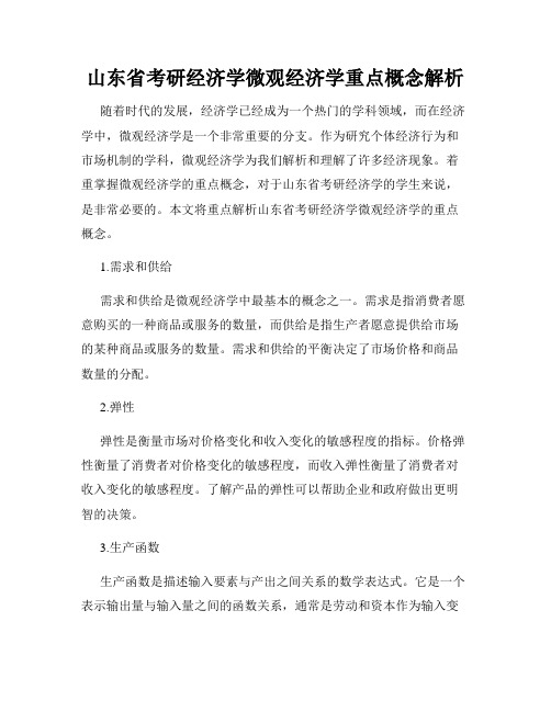 山东省考研经济学微观经济学重点概念解析