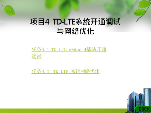 移动通信设备运行与维护-项目4--TD-LTE系统开通调试与网络优化