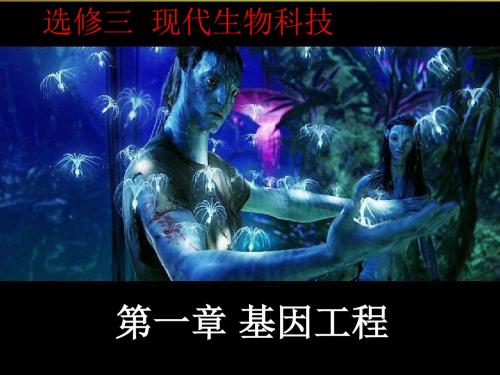 高中生物：基因工程课件浙教版选修3