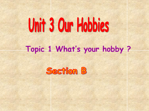 仁爱版八年级英语上册 Unit 3 Topic 1 Section B 课件(共21张PPT)