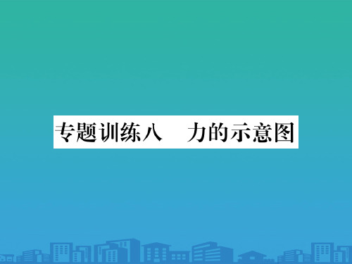 第六章  专题训练八 力的示意图—2020秋沪科版八年级物理上册课堂作业课件