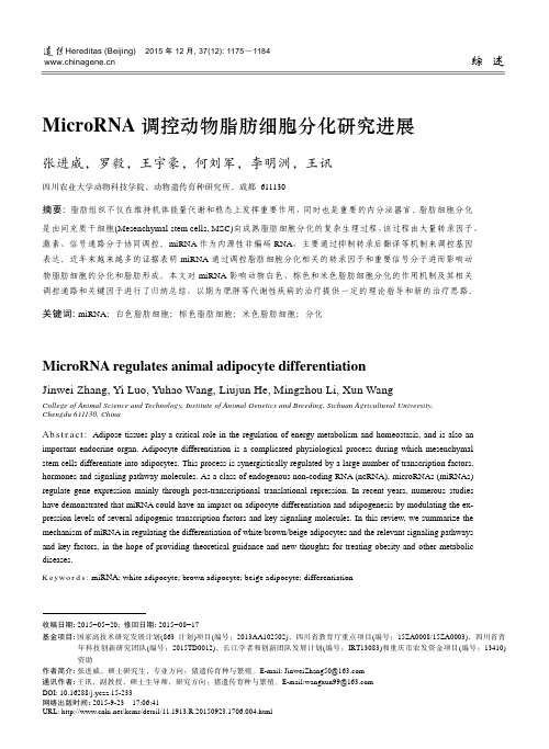 MicroRNA调控动物脂肪细胞分化研究进展