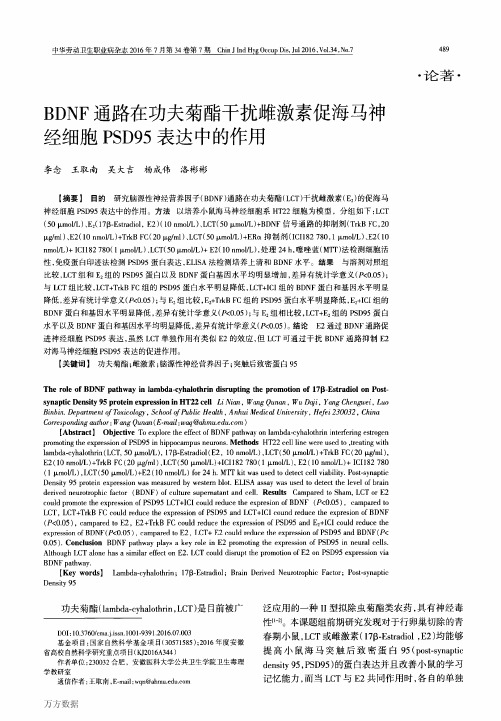 BDNF通路在功夫菊酯干扰雌激素促海马神经细胞PSD95表达中的作用解析