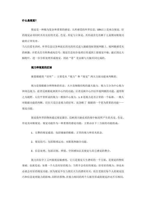 什么是视觉.