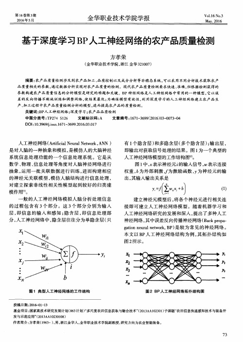 基于深度学习BP人工神经网络的农产品质量检测