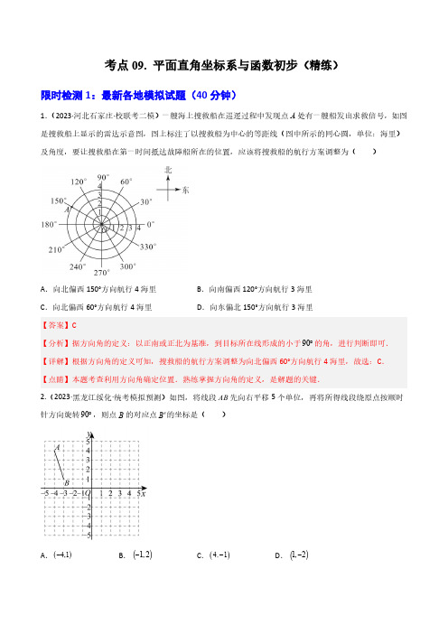 考点09 平面直角坐标系与函数初步(精练)(解析版)