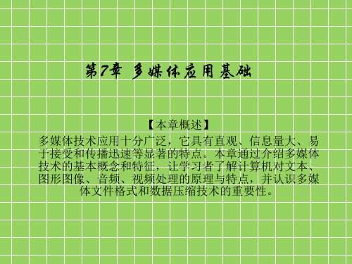 高中信息技术 多媒体应用基础课件 沪教版选修2