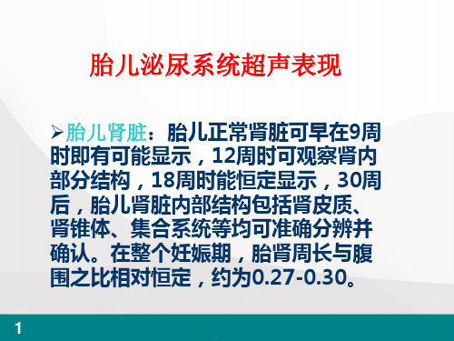 胎儿泌尿系统畸形超声检查医学PPT课件