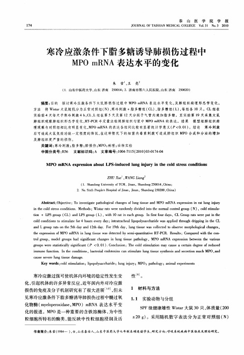 寒冷应激条件下脂多糖诱导肺损伤过程中MPO mRNA表达水平的变化