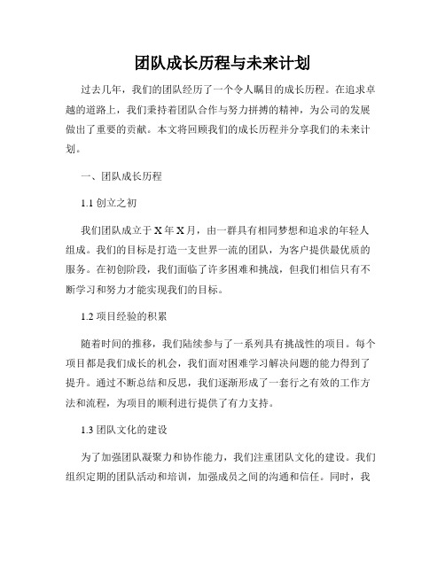 团队成长历程与未来计划