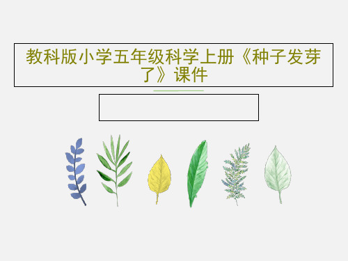 教科版小学五年级科学上册《种子发芽了》课件27页PPT