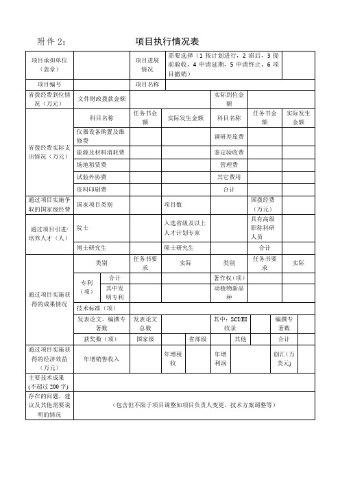 项目执行情况表