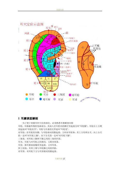 耳穴位置及主治(介绍)